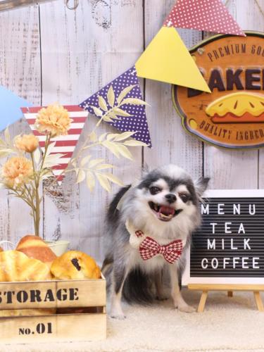 20240908クオンくん